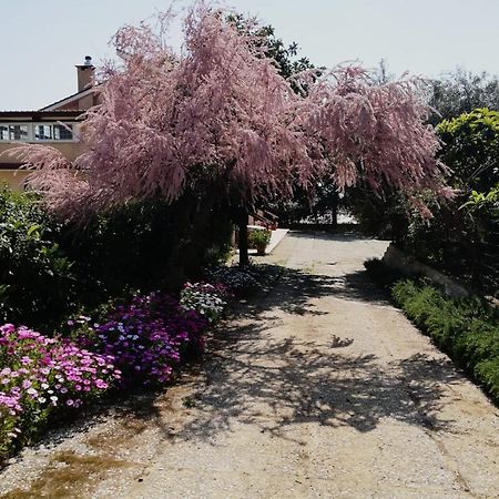 스펠론가 Casa Noemi 아파트 외부 사진