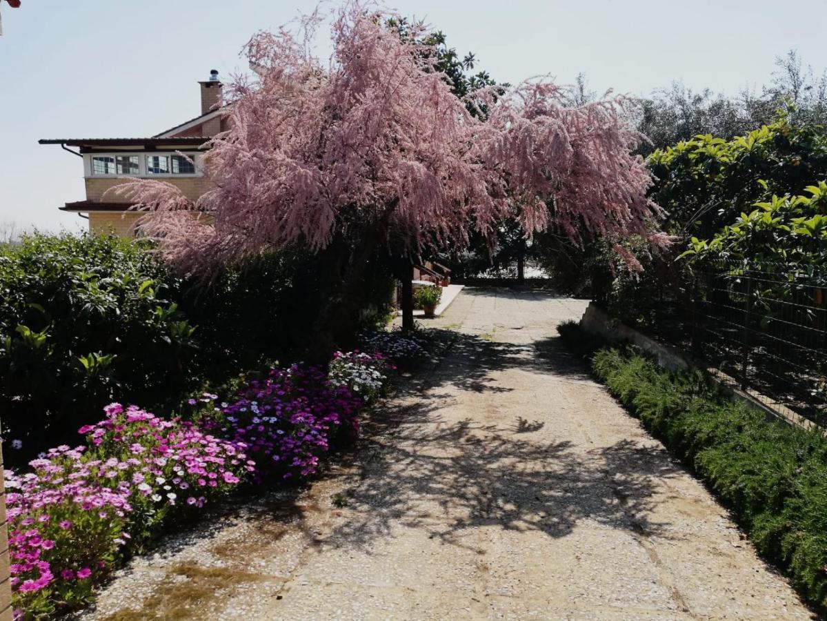 스펠론가 Casa Noemi 아파트 외부 사진